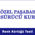 renk körlüğü testi, paşabahçe sürücü kursu,