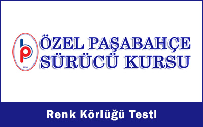 renk körlüğü testi, paşabahçe sürücü kursu,